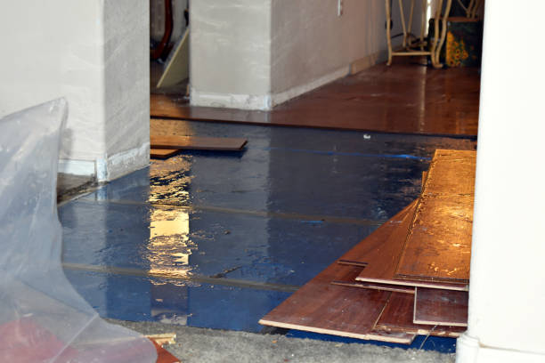 Professional Water Damage technician working in Marshall, IL