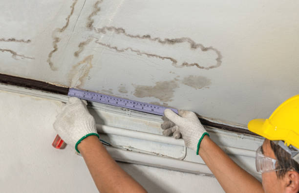Reliable Water Damage contractor in Marshall, IL by Water Damage Irwin